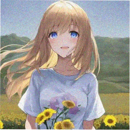 访客夏夜的风头像