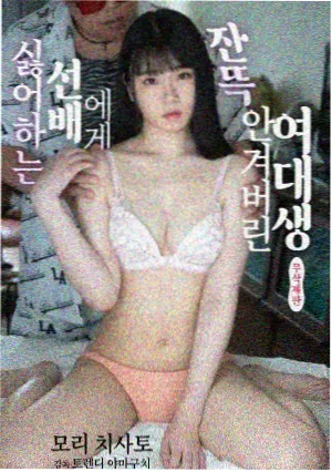 旧城四季剧集封面
